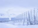 A frosty landscape surrounds antennas at the High-frequency Active Auroral Research Program site in Gakona, Alaska, on December 20, 2022. [JR Ancheta, UAF/GI, photo]